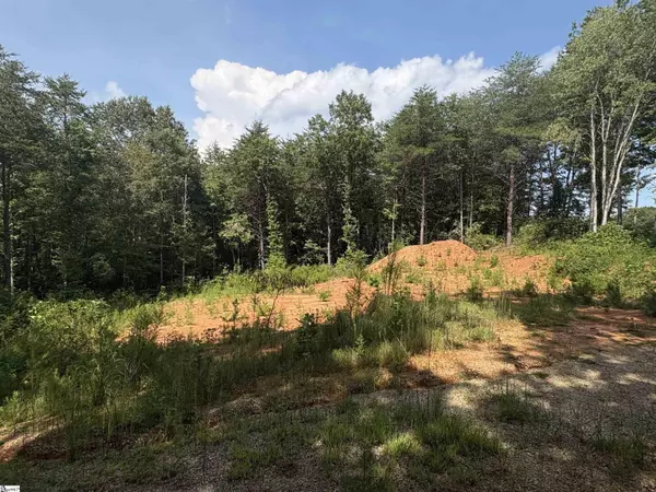 Landrum, SC 29356,119 Tugaloo Road