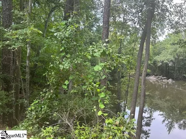 Lamar, SC 29069,000 Manantiel Road