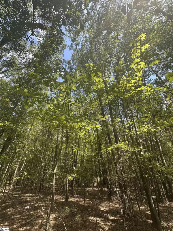 Pelzer, SC 29669,100 Watt Rogers Road