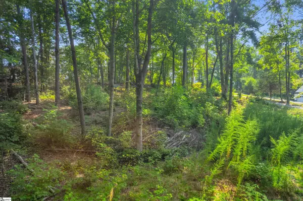 Easley, SC 29640,101 & 103 George Williams Drive