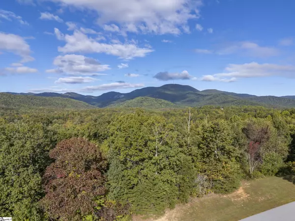 Landrum, SC 29356,100 Pardo Road