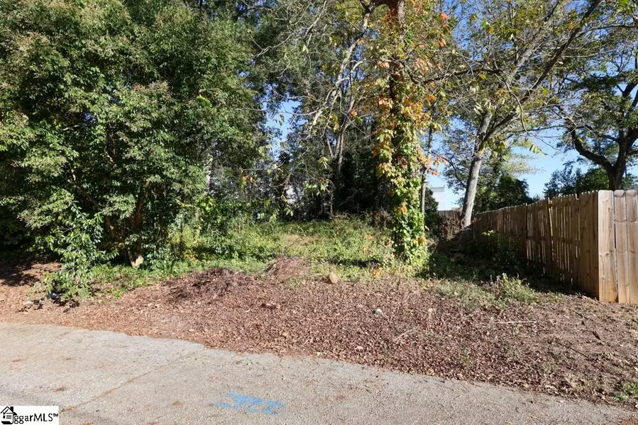 11 Trotter Alley, Greenville, SC 29605