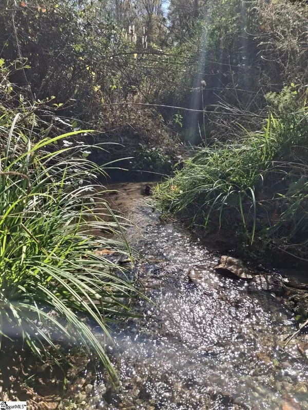 Easley, SC 29640,198 Black Snake Road