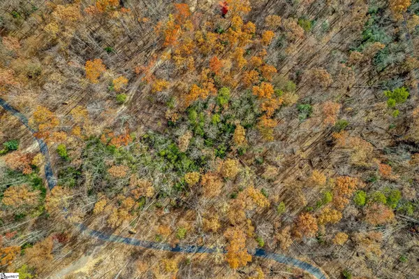 Marietta, SC 29661,45 Danna View Court