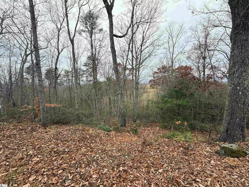 1130 Packs Mountain Ridge Road, Taylors, SC 29687