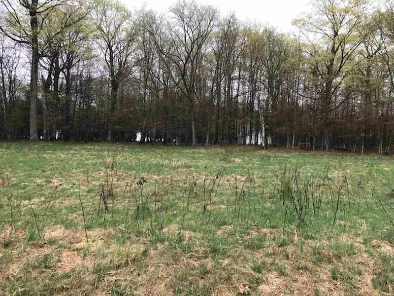 BUNTING LN #1, Park Falls, WI 54552