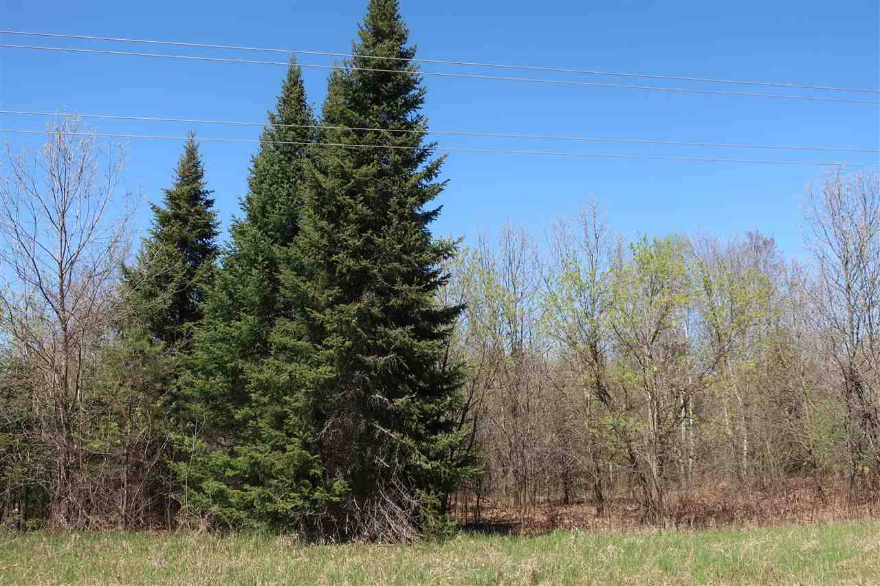 Wild Rose, WI 54984,BADGER AVE #40A