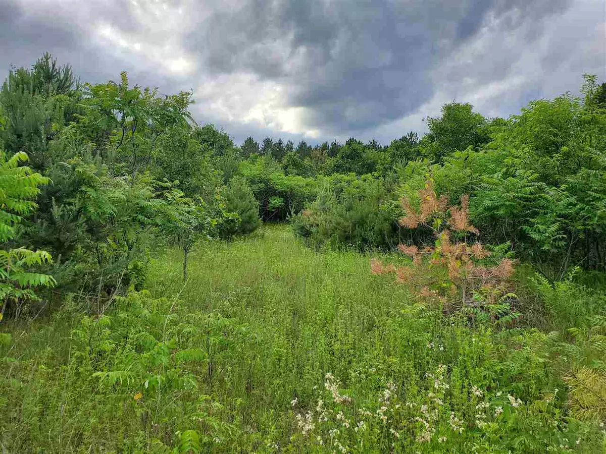 Amherst, WI 54406-9288,7260 HWY A #12,13