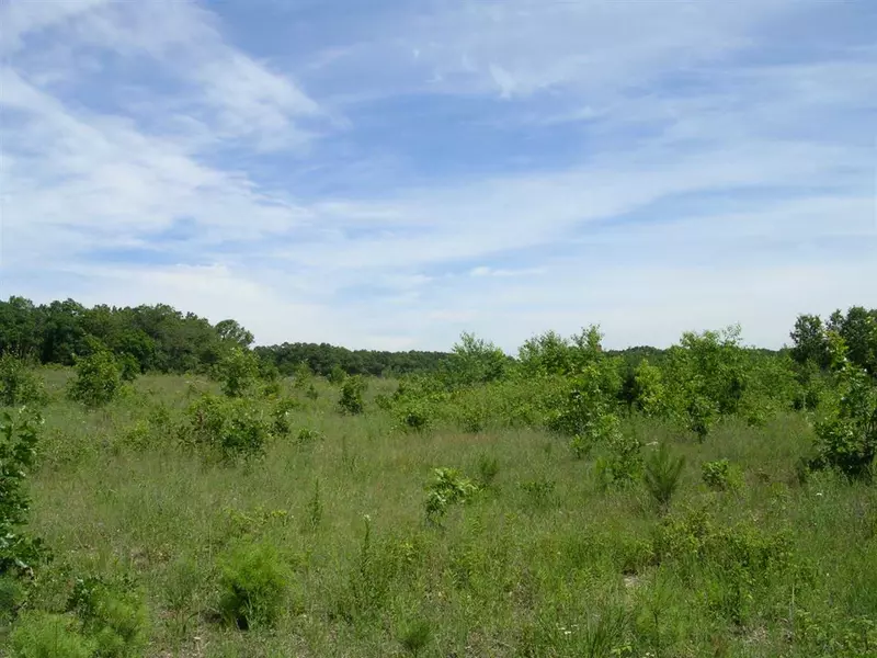 ALP LN, Wild Rose, WI 54984-0000