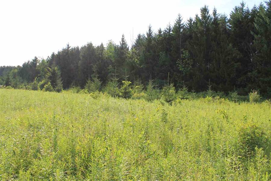 BLUEBERRY LN, Waldo, WI 53093