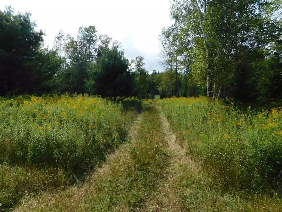Wittenberg, WI 54499-0000,N4607 HWY M