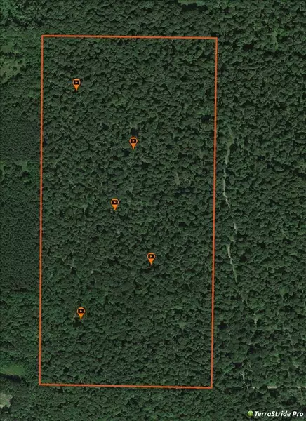 BERG RD, Tigerton, WI 54486