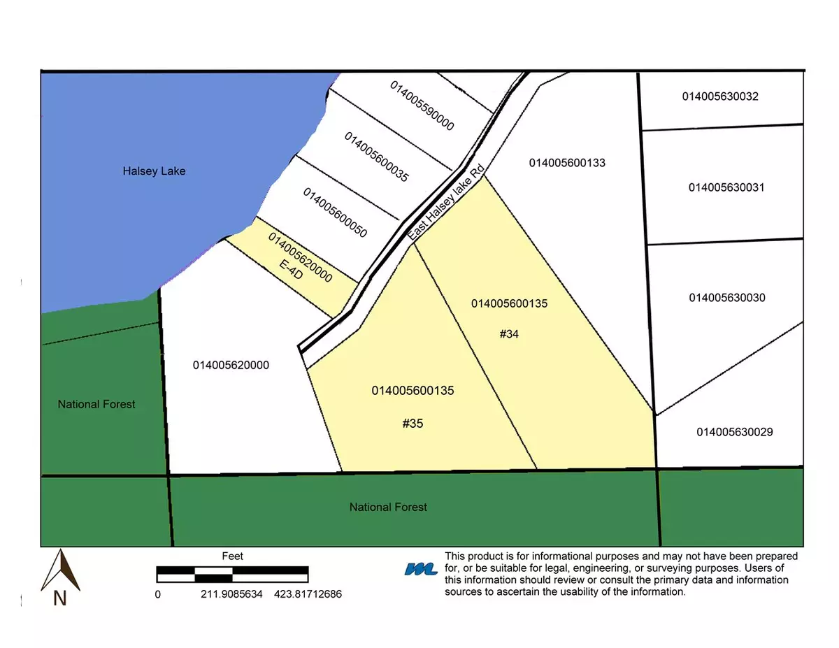 Long Lake, WI 54542,EAST HALSEY RD #35