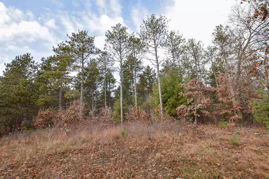 15TH AVE, Wild Rose, WI 54984-0000