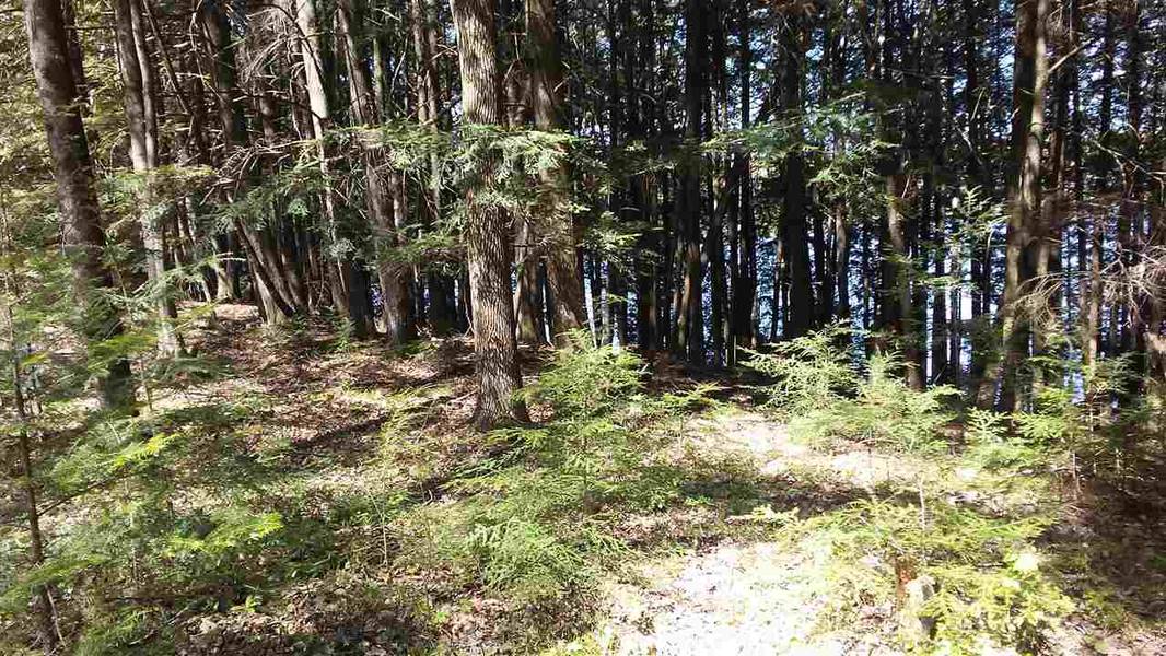 S LAKE LN #25, White Lake, WI 54491