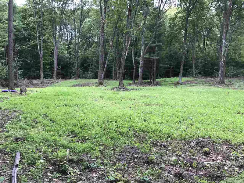 VANALSTINE RD, White Lake, WI 54491