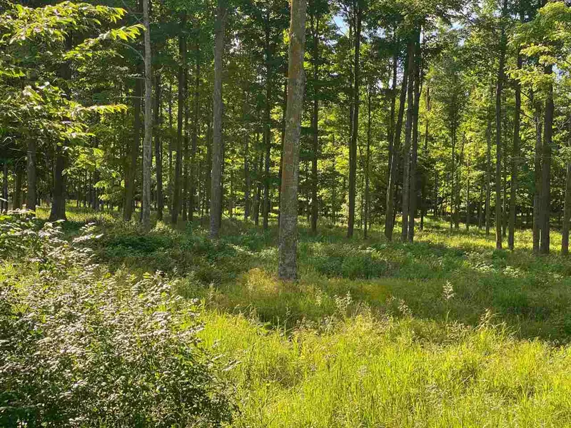 E CAMPFIRE RD #2, Leopolis, WI 54948
