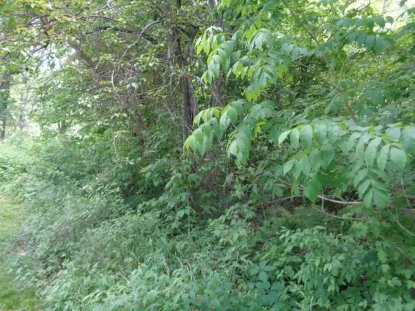 Hayward, WI 54843-0000,ANCHOR LN #3