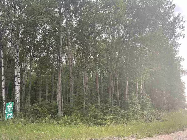 W7157 BARKER RD, Amberg, WI 54102-9285