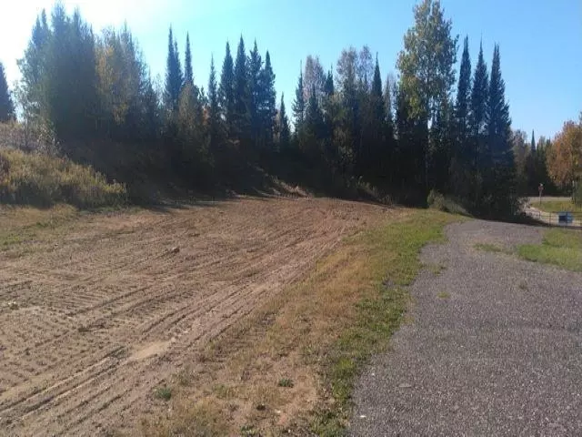 Armstrong Creek, WI 54103,NEWALD TOWER RD