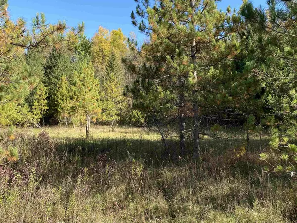 Pulaski, WI 54162,8898 VAN DORNICK RD