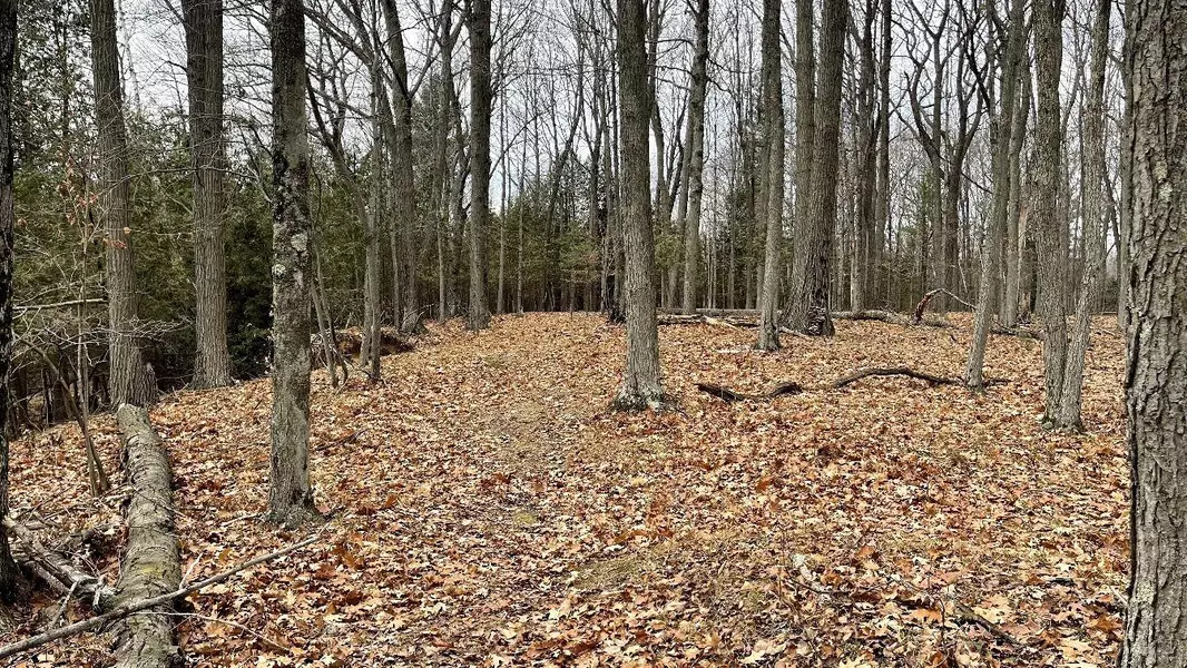 7143 COUNTY ROAD S, Sobieski, WI 54171