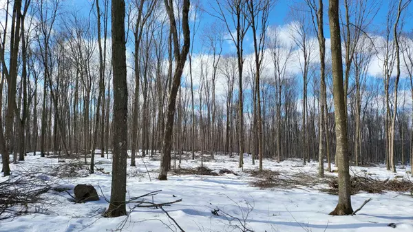 Leopolis, WI 54948,E CAMPFIRE RD