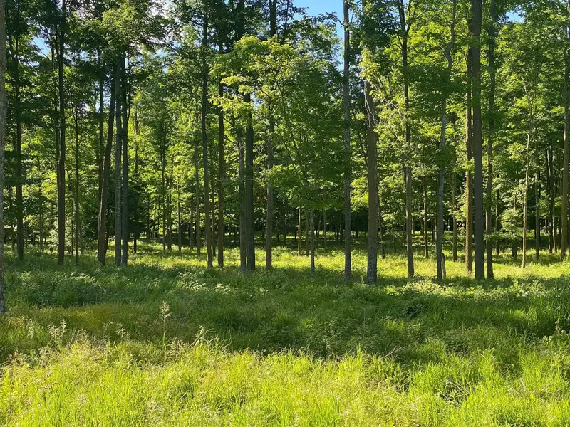 E CAMPFIRE RD #4, Leopolis, WI 54948