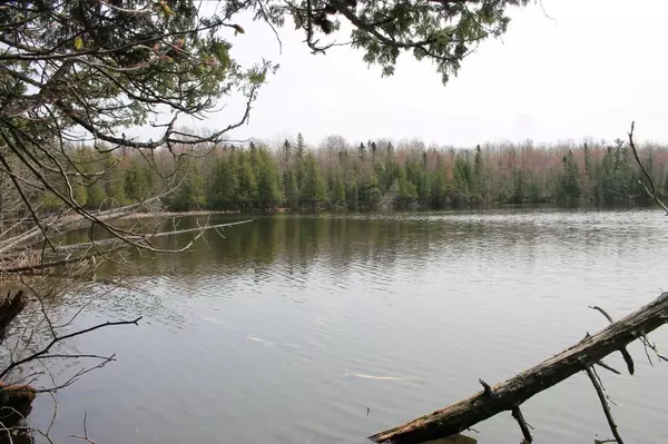 BUCKSKIN LAKE RD, Fence, WI 54121