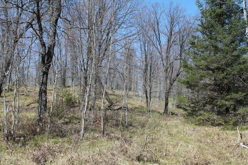 Daggett, MI 49821,W8286 DEACON LN