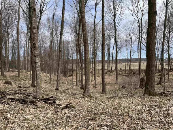 Wittenberg, WI 54499,MARQUARDT LN