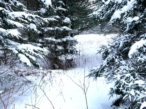 14542 JOSEPH LN, Mountain, WI 54149