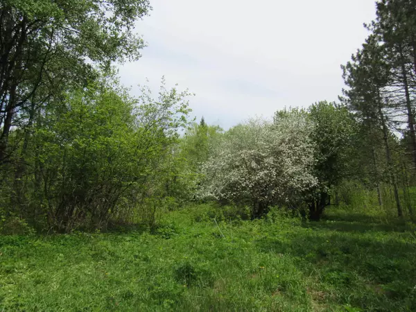 Wabeno, WI 54566,TRUMP LAKE RD