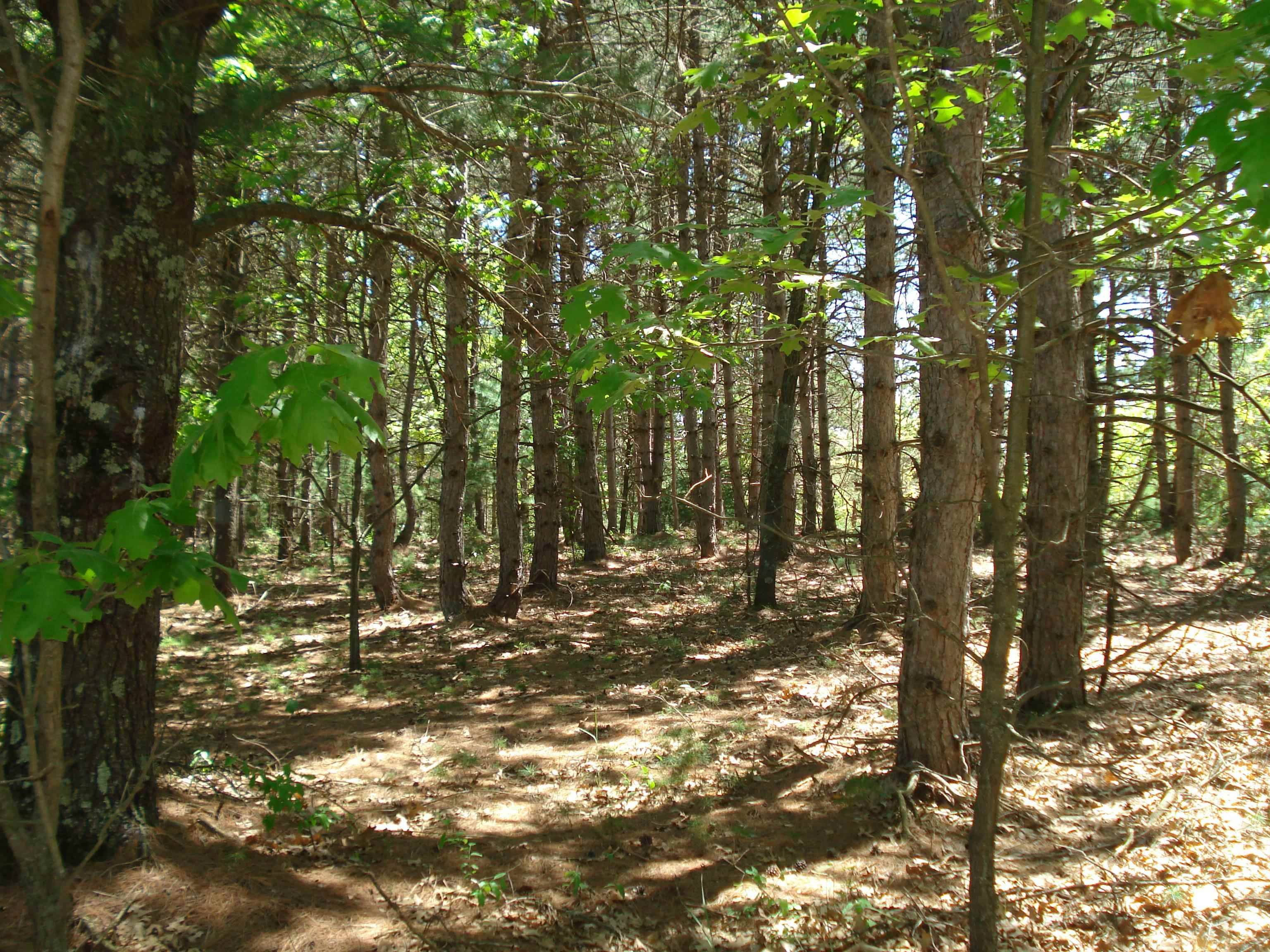 ASPEN CT, Wild Rose, WI 54984-6700