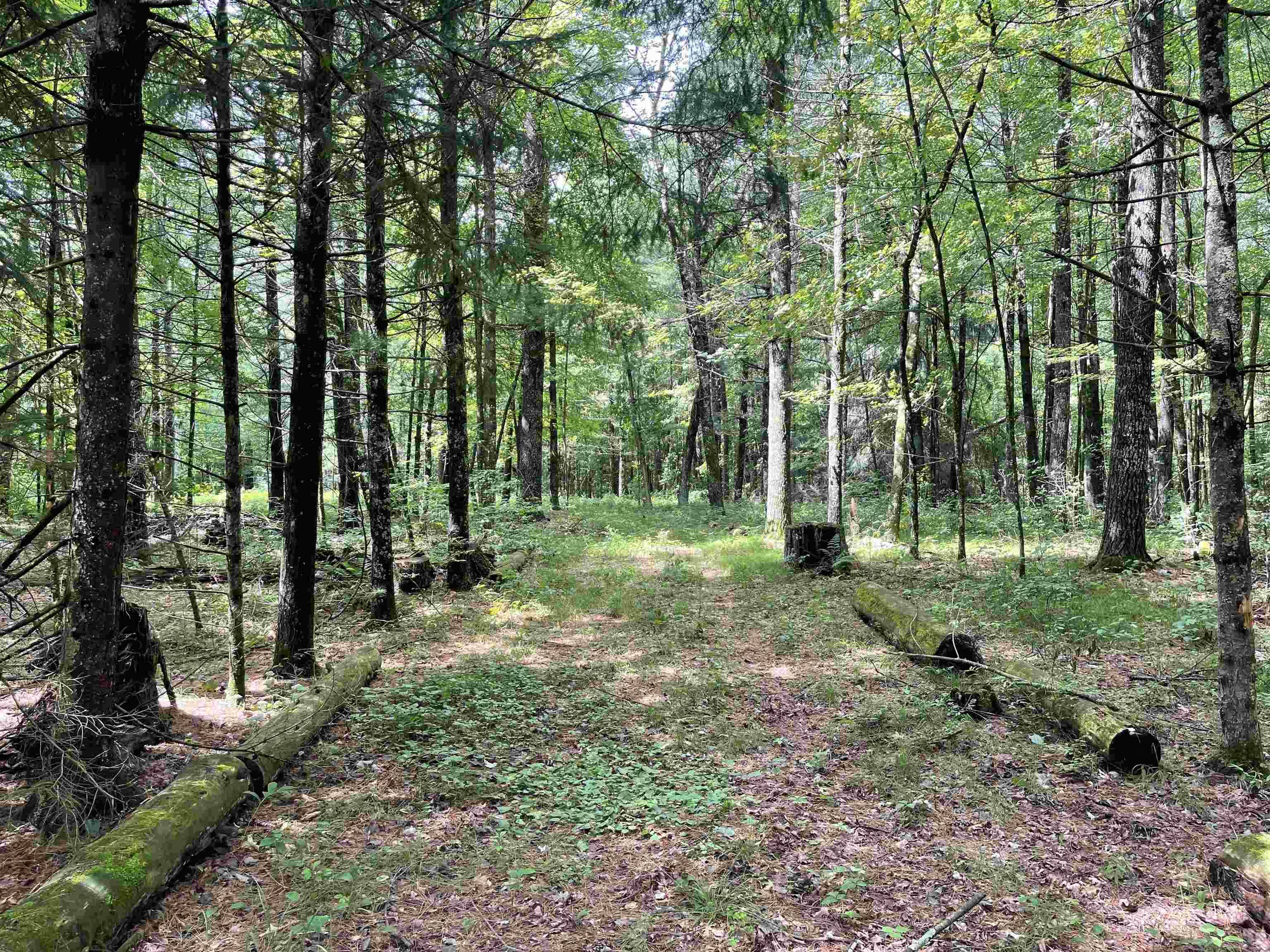 W2247 OTTER PONDS RD, Keshena, WI 54135-0000