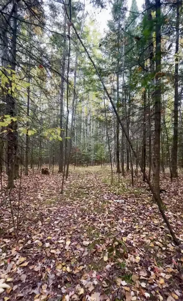 Crivitz, WI 54114,WHITE BUCK LN #5