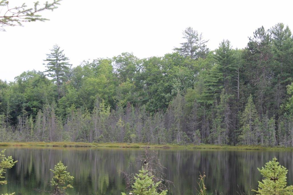 EVELAND WAY #11, Elcho, WI 54428