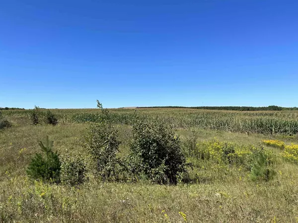 Tigerton, WI 54486-0000,COUNTY J RD