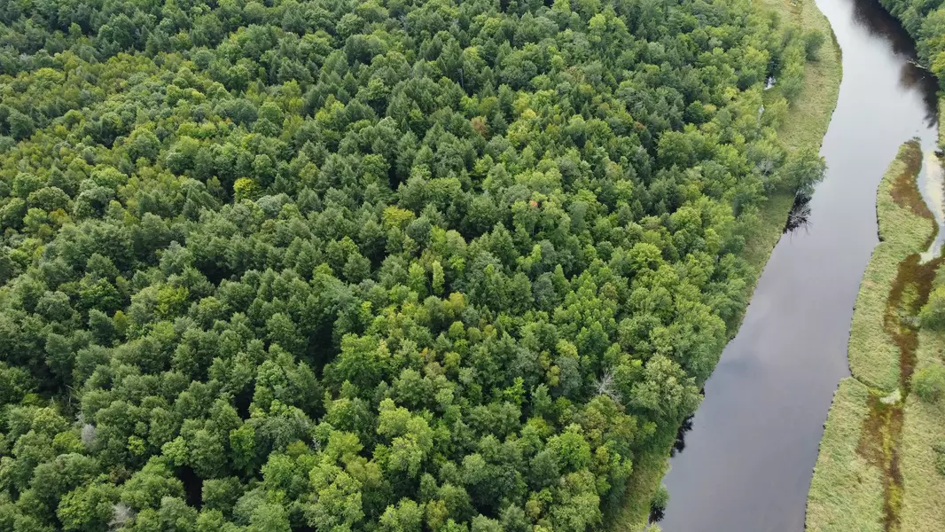 WOLFE LN #1, Athelstane, WI 54104