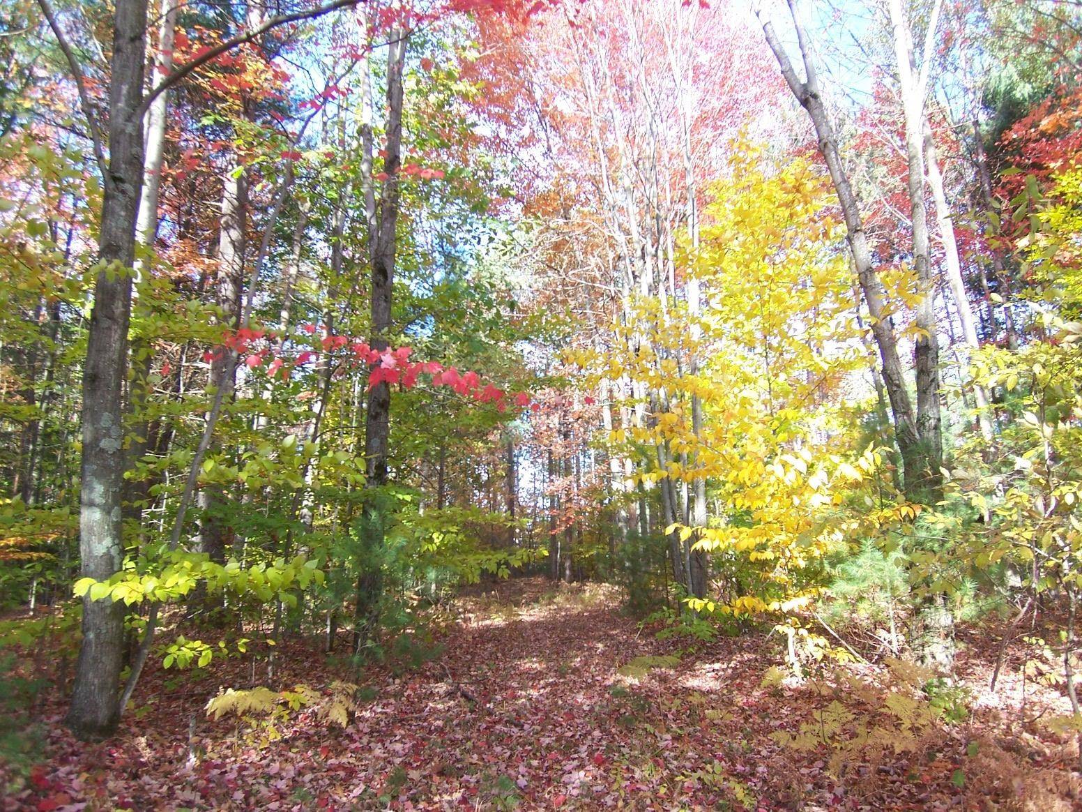 Little Suamico, WI 54171-0000,MAPLE LEAF TRL #32