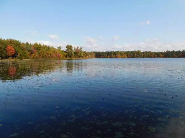 Suring, WI 54174-9447,W606 JOE JOHNSON RD