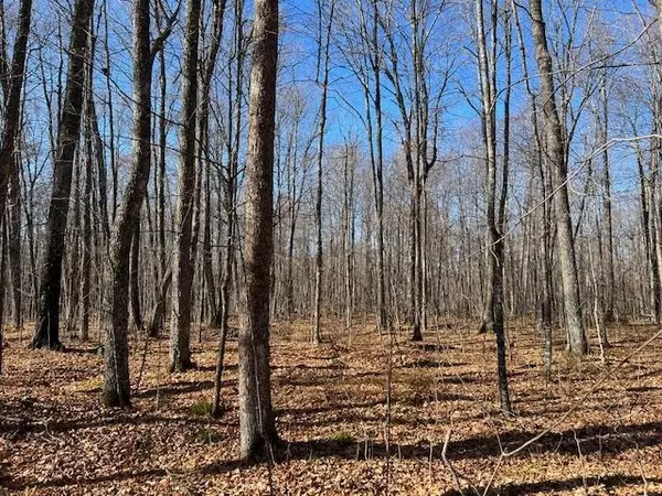 Laona, WI 54541,CLEMENS LN