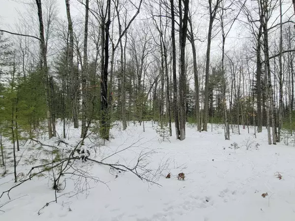 Daggett, MI 49821,MISCAUNO ISLAND LN #3