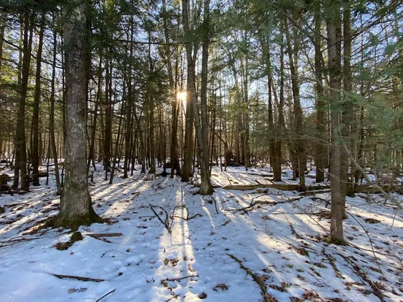 STATE HWY 55, White Lake, WI 54491