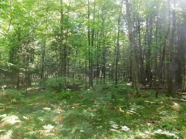 Armstrong Creek, WI 54103,FATLA RD