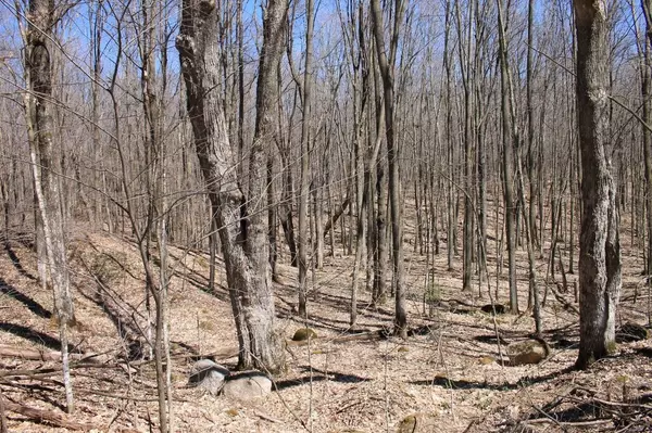 Elton, WI 54430,ELTON SOUTH RD