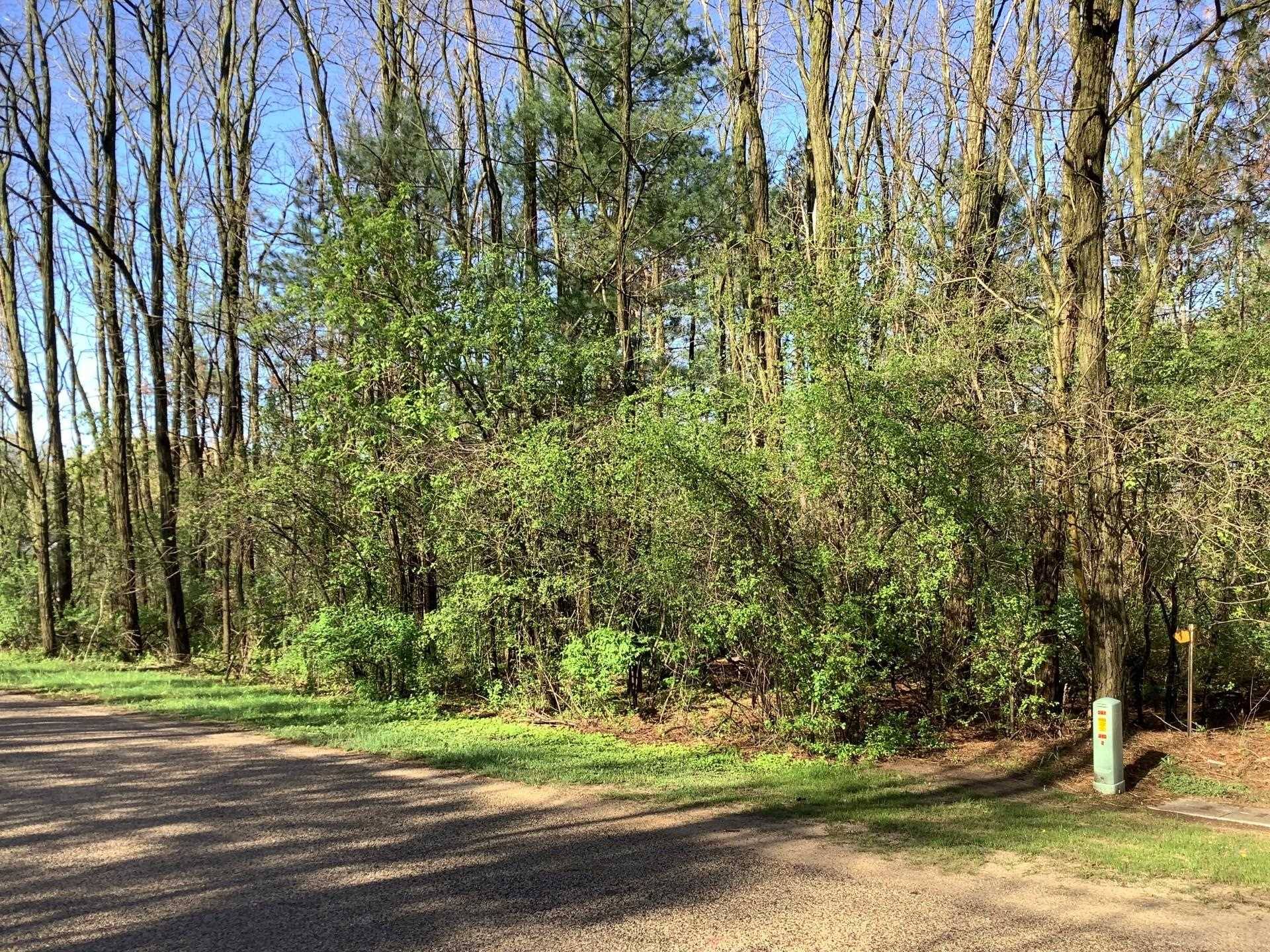 Waupaca, WI 54981,PINE LN
