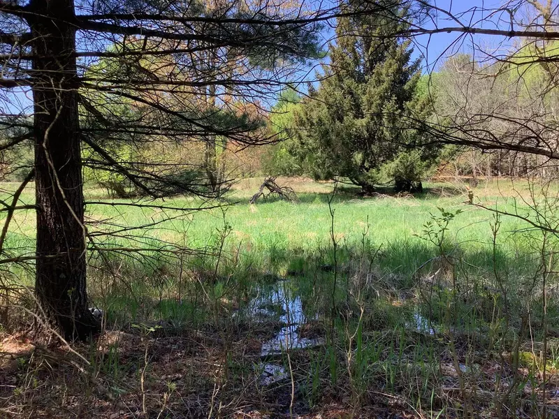 COUNTY RD AH, Fremont, WI 54940