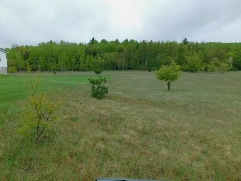 COUNTY HIGHWAY N #1, Niagara, WI 54151