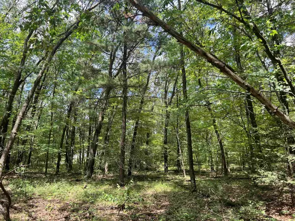 W5315 ANN CT, Shawano, WI 54166-0000